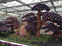 第二屆北京農業嘉年華